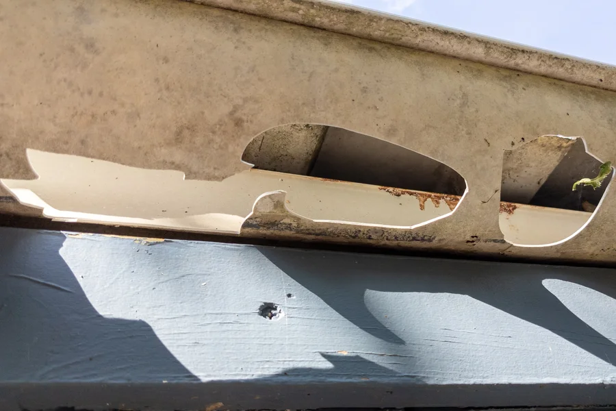 Gutter Repair